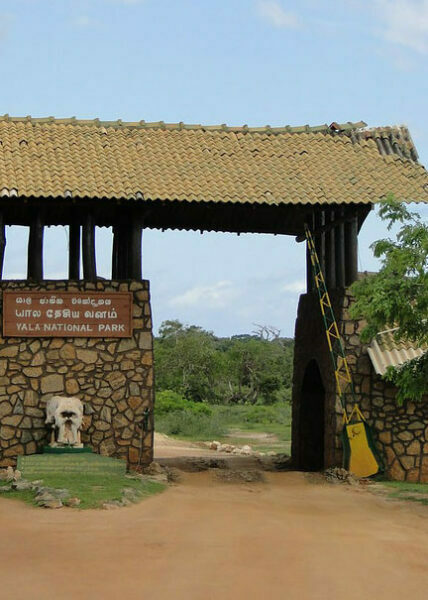 Yala National Park Sri Lanka