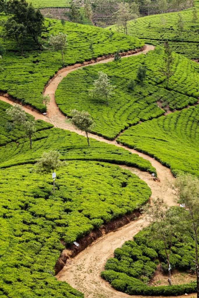 Top 20 Places to visit in Nuwara Eliya Sri Lanka