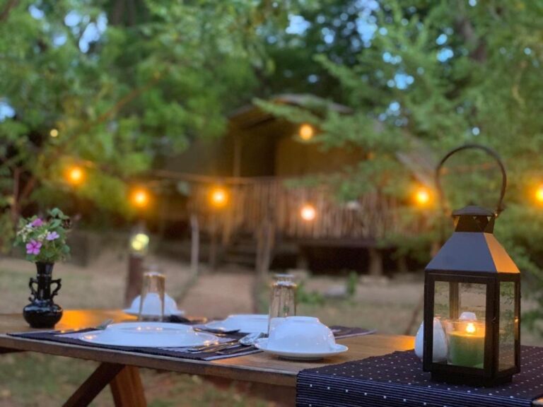 Top Glamping Sites near Yala National Park