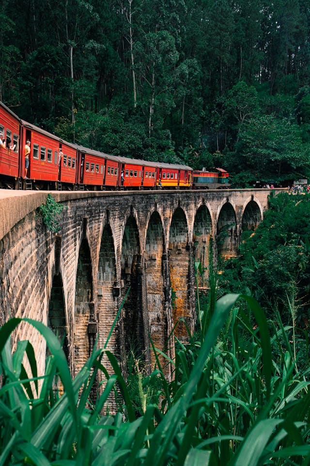 How to book Train Tickets in Sri Lanka Online