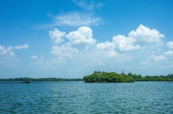 Madhu river