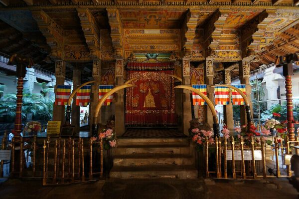 Secred tooth relic