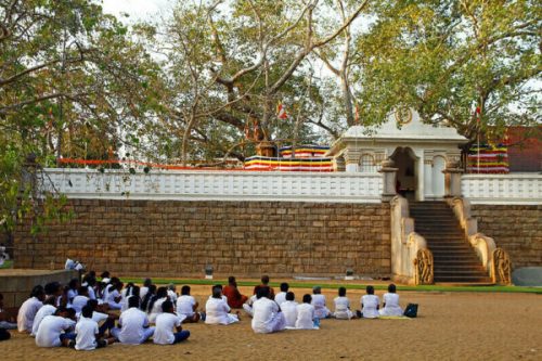 Sri Maha Bodhi