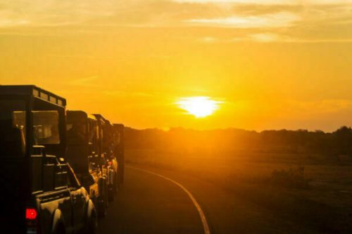 Sunrise at the beginning of car Safari in Yala National Park in Sri Lanka