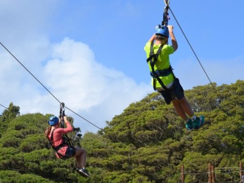 zipline-